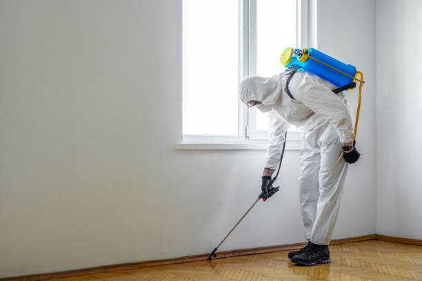 Best Residential Pest Control  in Mccamey, TX